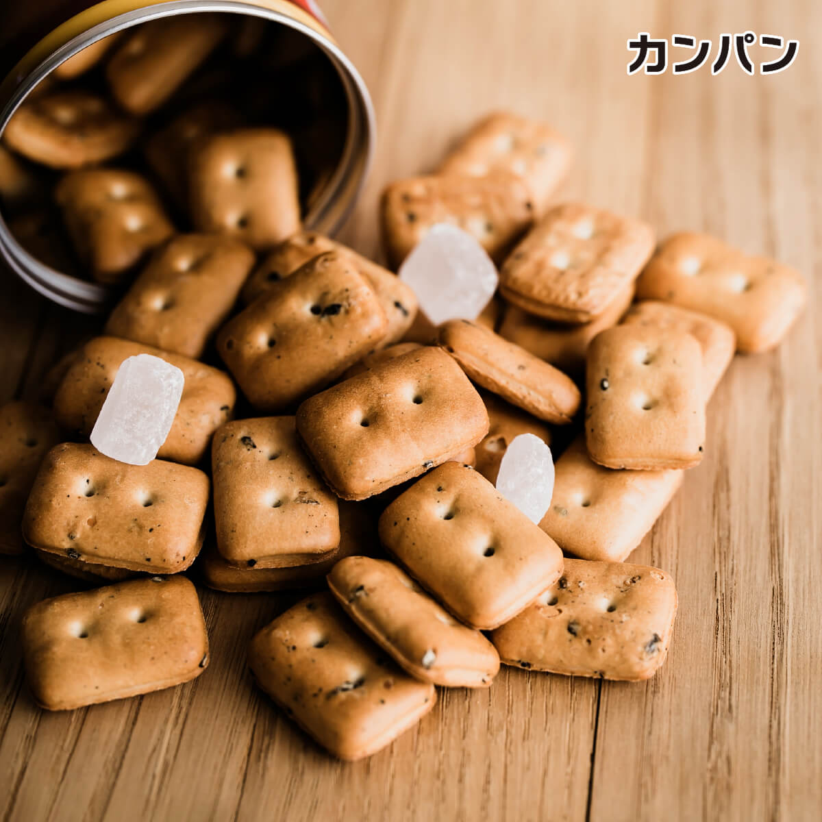 東ハト 三立製菓 カンパン 100g 北陸製菓 hokka 米蜜ビスケット