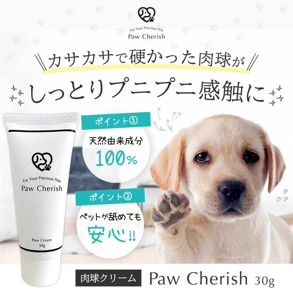 日本初の アイプクリーム 犬猫用 19.5g