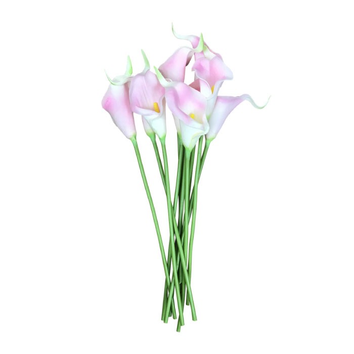 カラー 花 値段の商品一覧 通販 Yahoo ショッピング カラー 花 値段の商品一覧 通販 Yahoo ショッピング