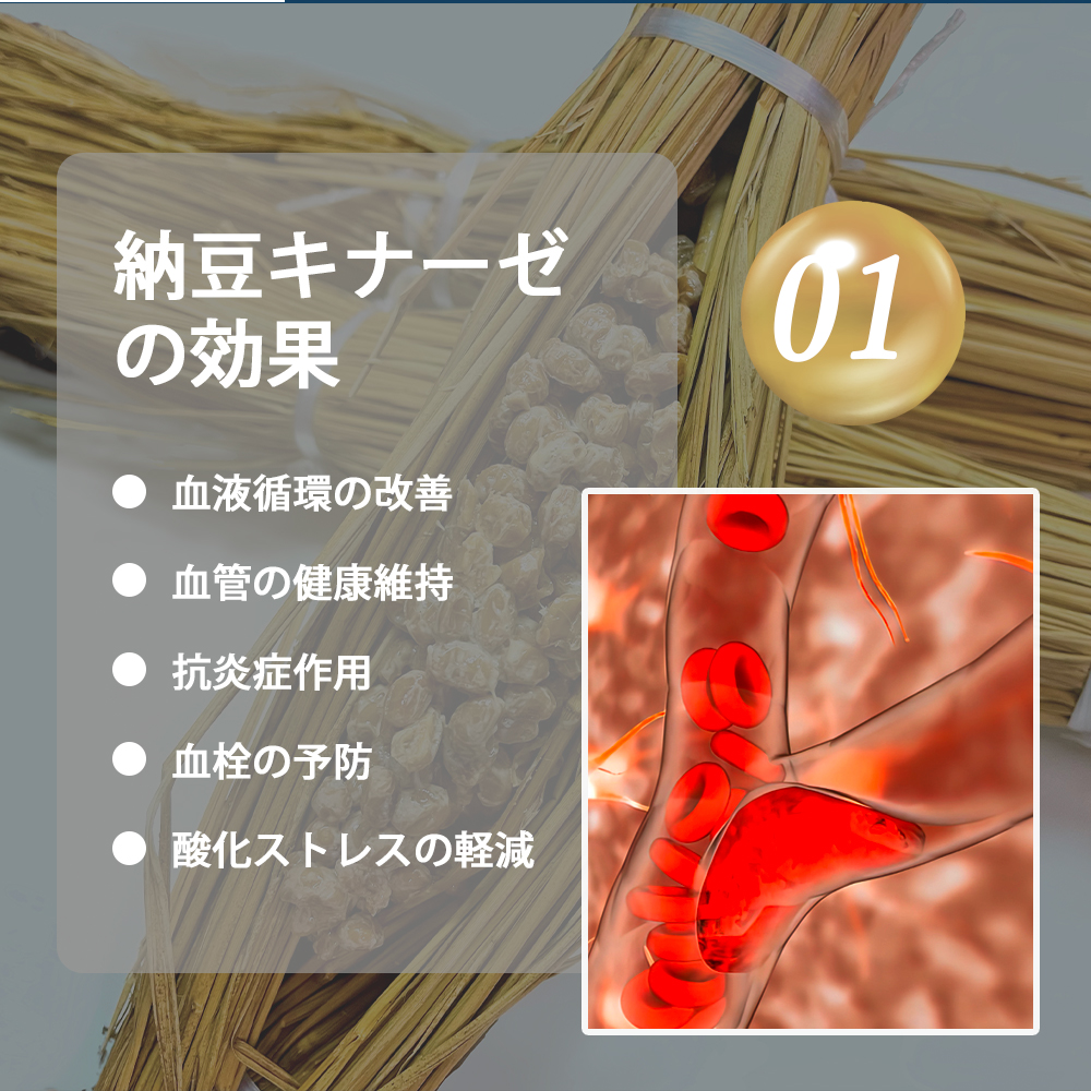 3点セット 同太和 ToatlHeal 納豆キナーゼ 12000FU コエンザイムQ10 納豆 なっとう 栄養機能食品 GMP GMP認定 健康食品 サプリメント サプリ 男性 女性 健康｜japanhealthcenter｜08