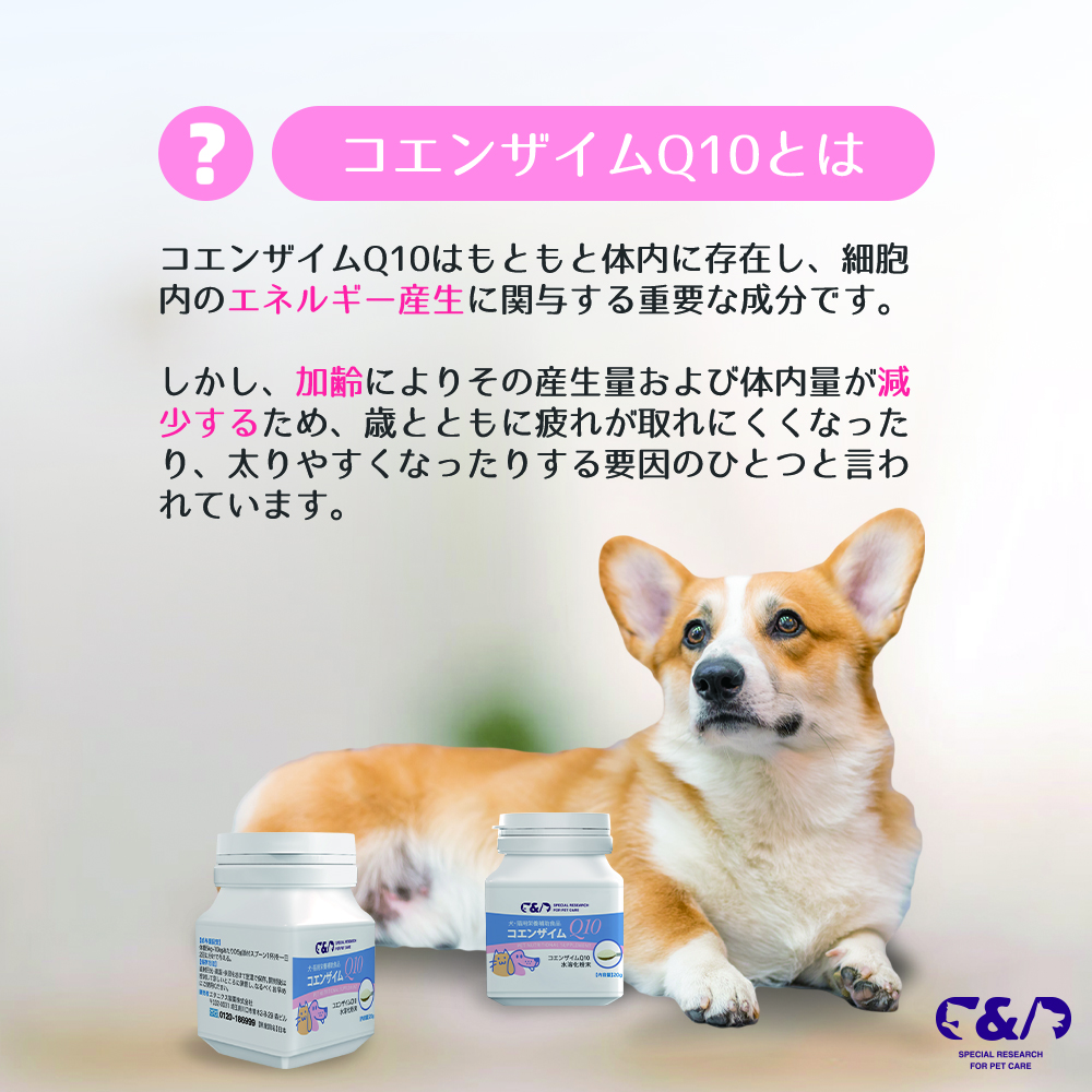 3点セット C&D コエンザイムQ10 犬・猫用栄養補助食品 Q10｜japanhealthcenter｜06