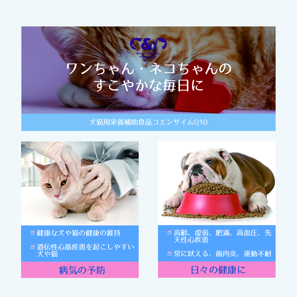 3点セット C&D コエンザイムQ10 犬・猫用栄養補助食品 Q10｜japanhealthcenter｜10