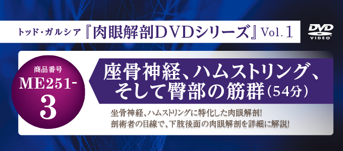 トッド・ガルシア 肉眼解剖DVDシリーズ Vol.1 解剖学 医療 ME251-S 全3