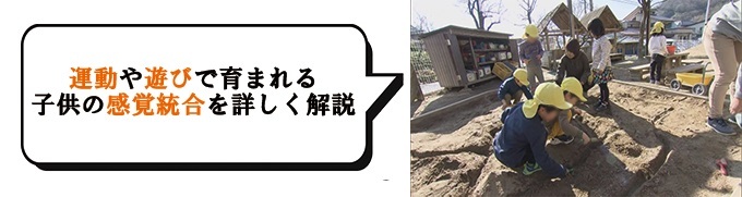 感覚と運動を育む遊び〜感覚統合の考え方を生かした保育活動〜[発達 ...