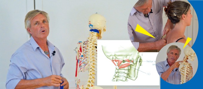 トム・マイヤーズ 「頸部の緩和」浅筋膜シリンダーと運動シリンダーへ