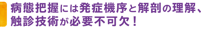 病態把握には発症機序と解剖の理解、接触技術が必要不可欠！