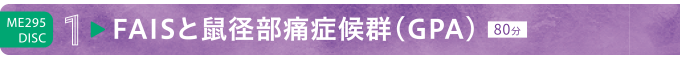 ME295-1 FAISと鼠径部通症候群（GPA）（80分）