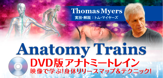 トム・マイヤーズ Anatomy Trains ワークショップ アナトミートレイン