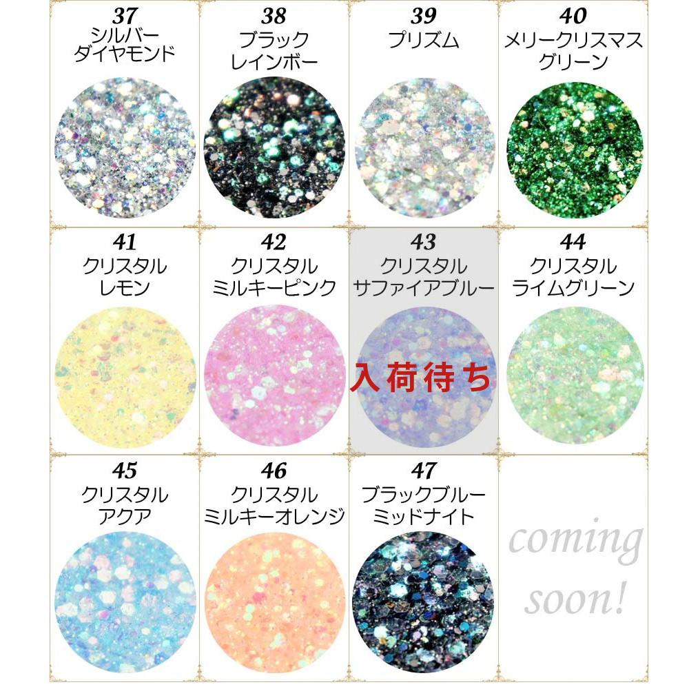 数量限定 2026福袋】ジェルネイル ブレンドグリッター12色セット 日本