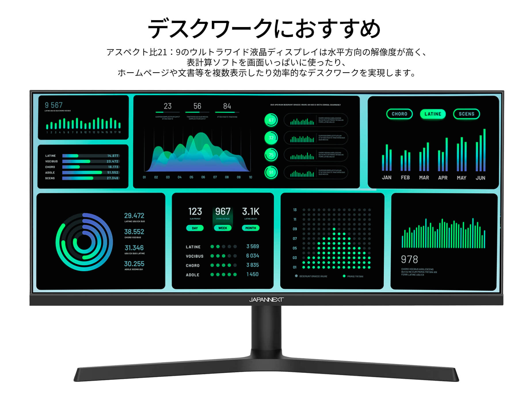 JAPANNEXT 29インチ ワイドモニター JAPANNEXT 29インチ IPSパネル搭載 ワイドフルHD ウルトラワイド