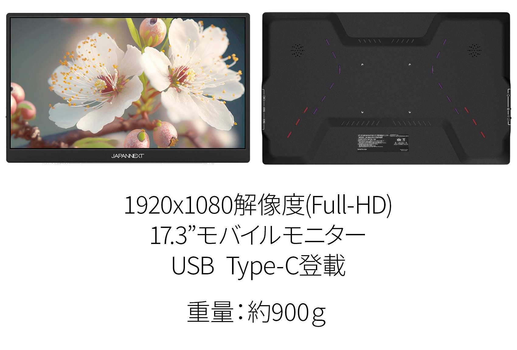 JAPANNEXT モバイルモニター 17.3インチ IPSパネル pcモニター