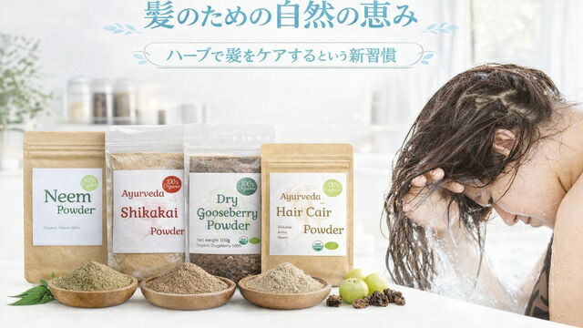 100%オーガニック グーズベリー(アムラ)パウダー 200g スーパーフード