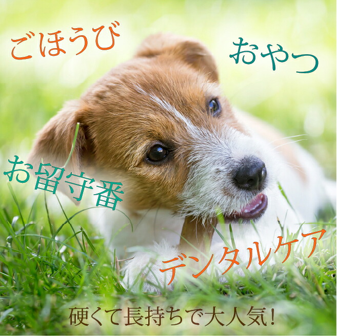 楽天1位】ヒマラヤ ヤクチーズ Mサイズ 約70g 5本 犬用おやつ 無添加