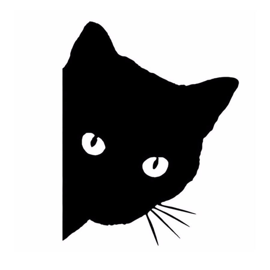 猫ステッカー 猫シール ネコ シール ねこ ステッカー 黒猫 車シール デカール みつめる のぞく かわいい 可愛い おすすめ JM-134  :JM-134:JASUMIN Yahoo!店 - 通販 - Yahoo!ショッピング