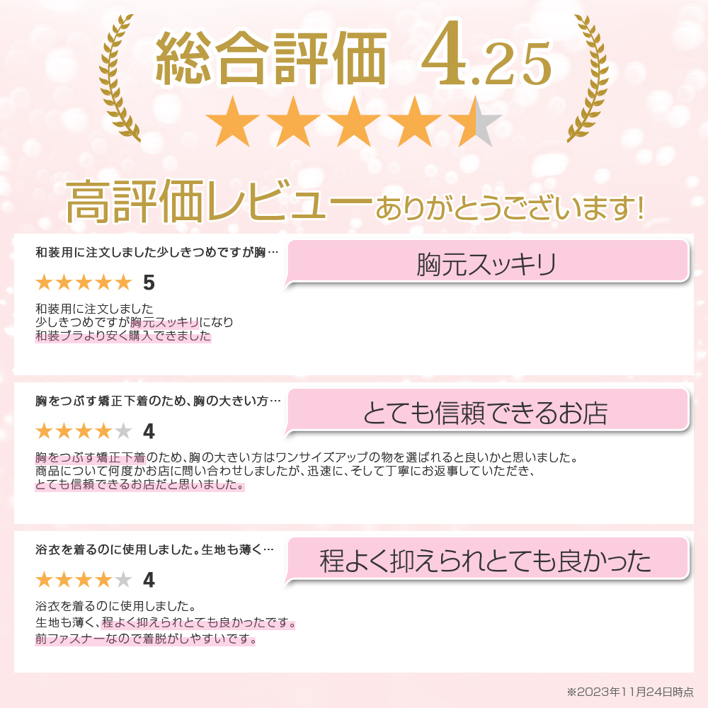 和装ブラ 和装ブラジャー 着物ブラ 胸つぶし インナー ファスナー ナベシャツ 夏 メッシュ 胸潰し コスプレ 胸を小さく見せる スポーツブラ ショート丈 JM-292 関連画像2
