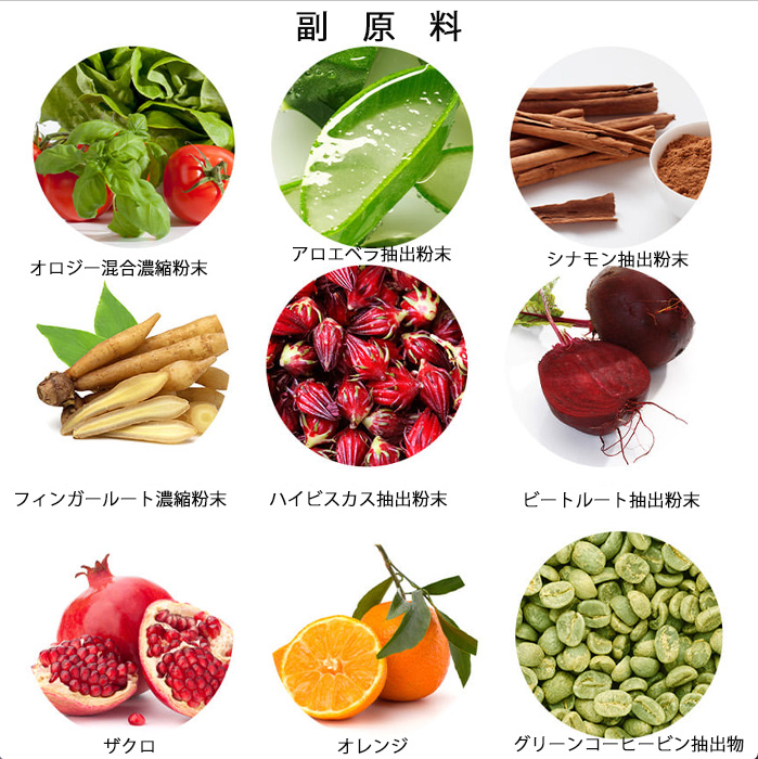 フードオロジー 飲むダイエット コレオロジーティー 8000mg×15包