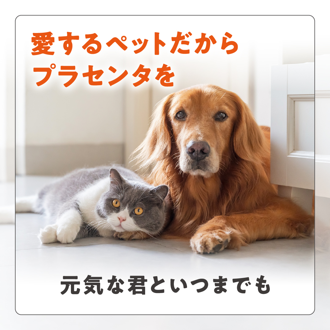 愛するペットだからプラセンタを