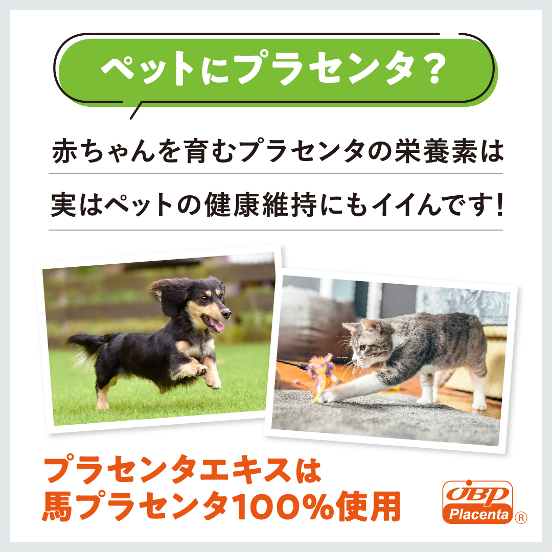 実はペットの健康維持にもイイんです！　プラセンタエキスは馬プラセンタ100%使用