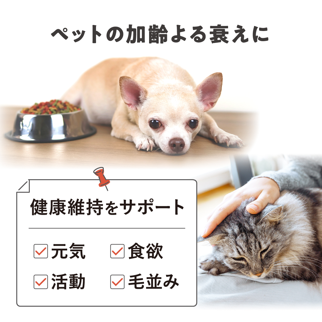 ペットの加齢による衰えに