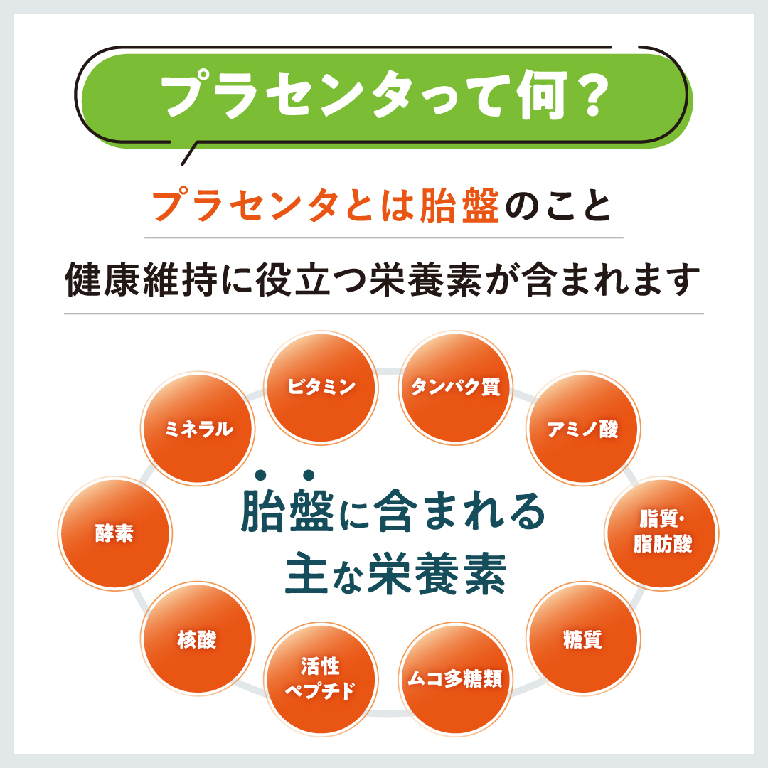 プラセンタとは胎盤のこと健康維持に役立つ栄養素が含まれます