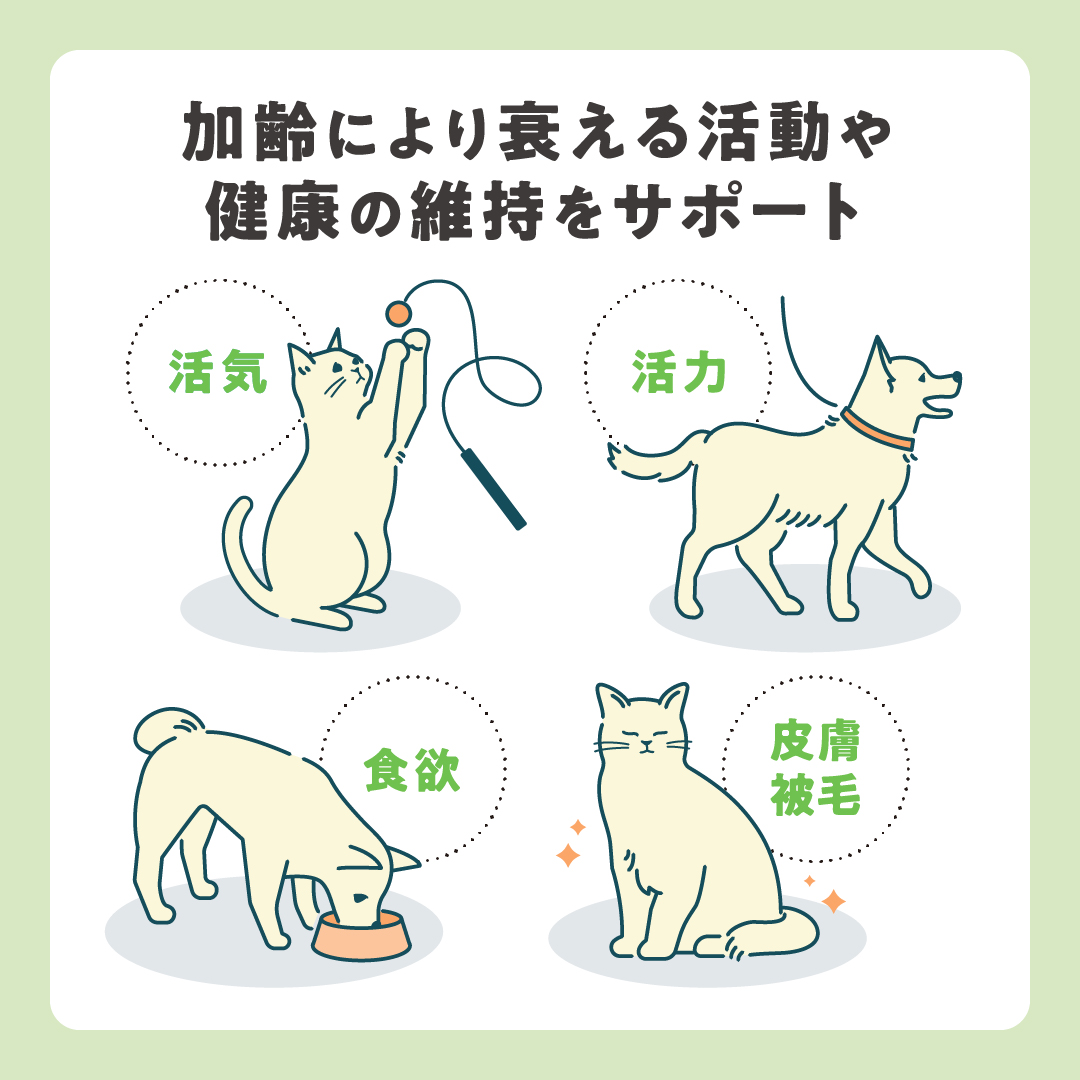 加齢により衰える活動や健康の維持をサポート