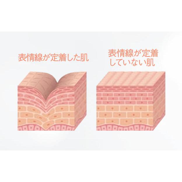 LNC ナイト リフティング マスク 50g 塗るマスク パック JBP 日本生物