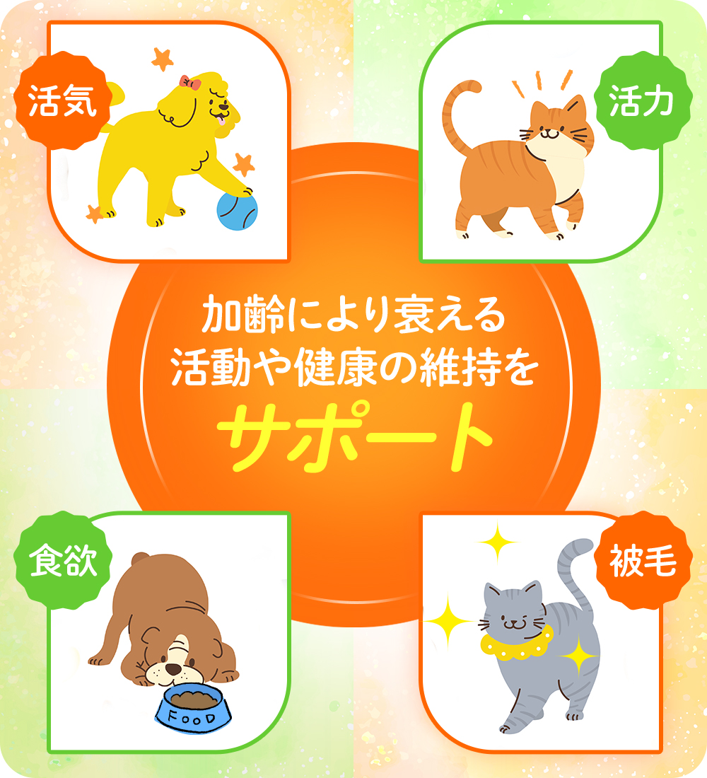 加齢により衰える活動や健康の維持をサポート