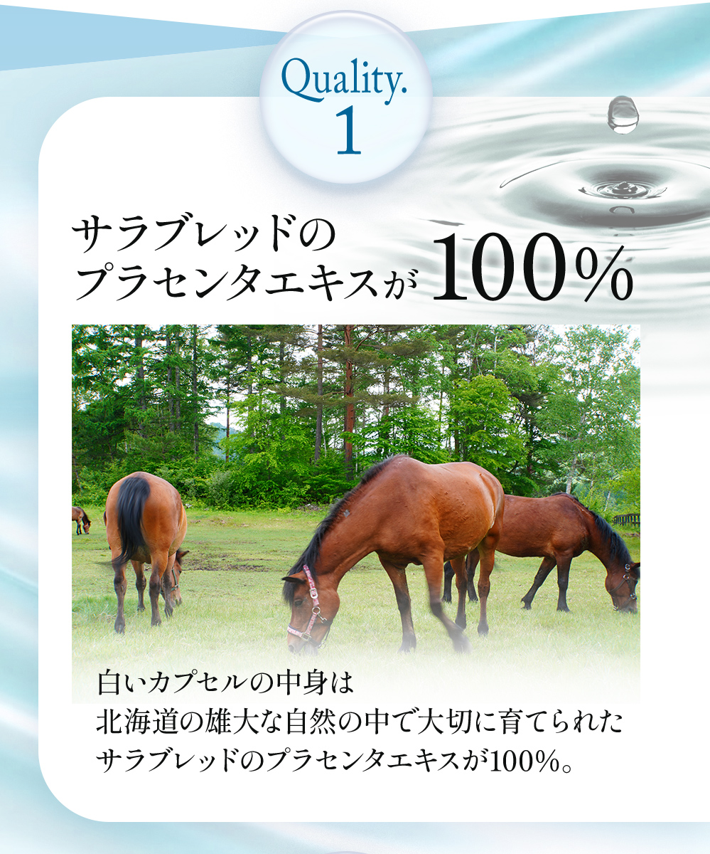 Quality.1 白いカプセルの中身は北海道の雄大な自然の中で大切に育てられたサラブレッドのプラセンタエキスが100％