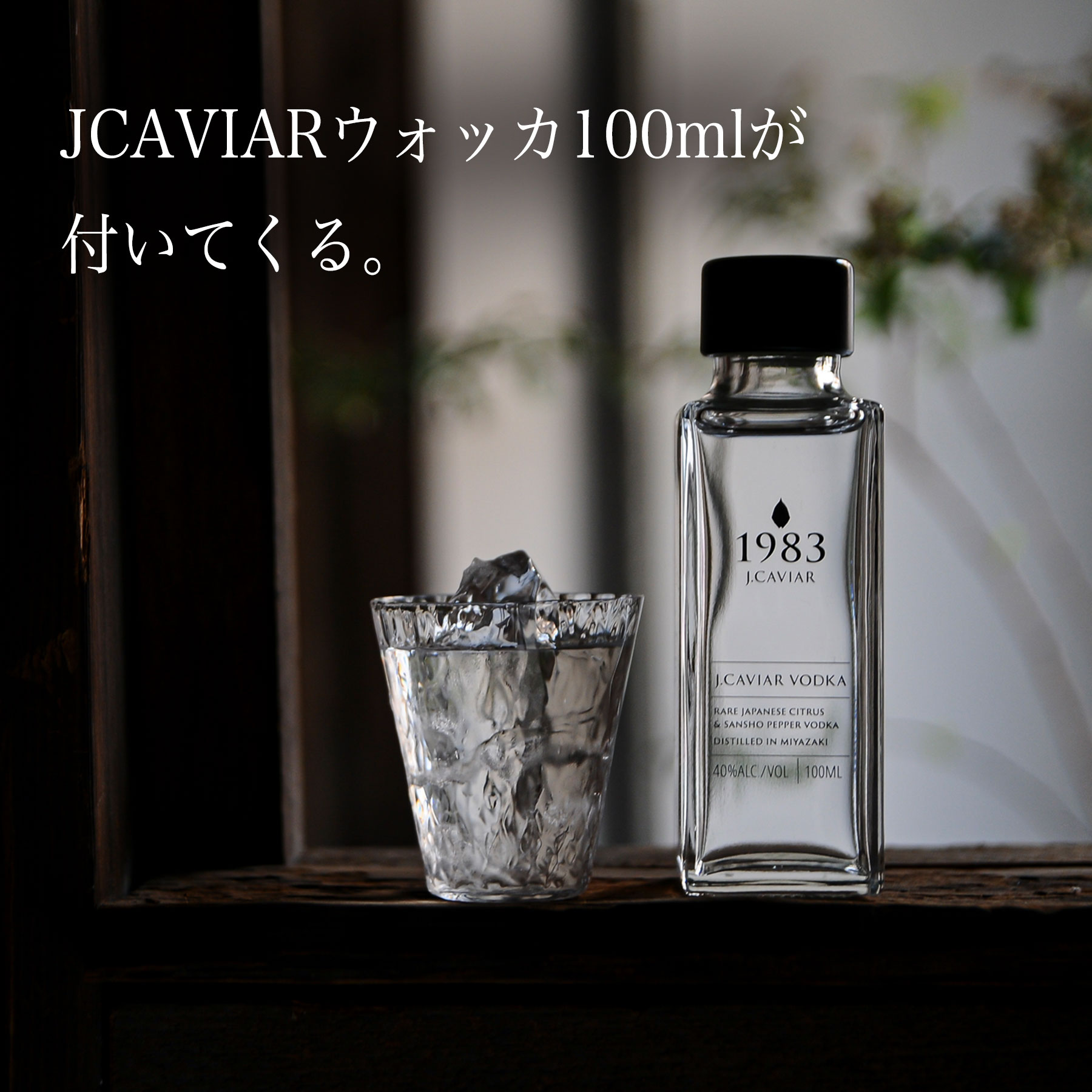 お歳暮 宮崎キャビア 1983 20g 1983 J.CAVIAR ウォッカ 100ml セット