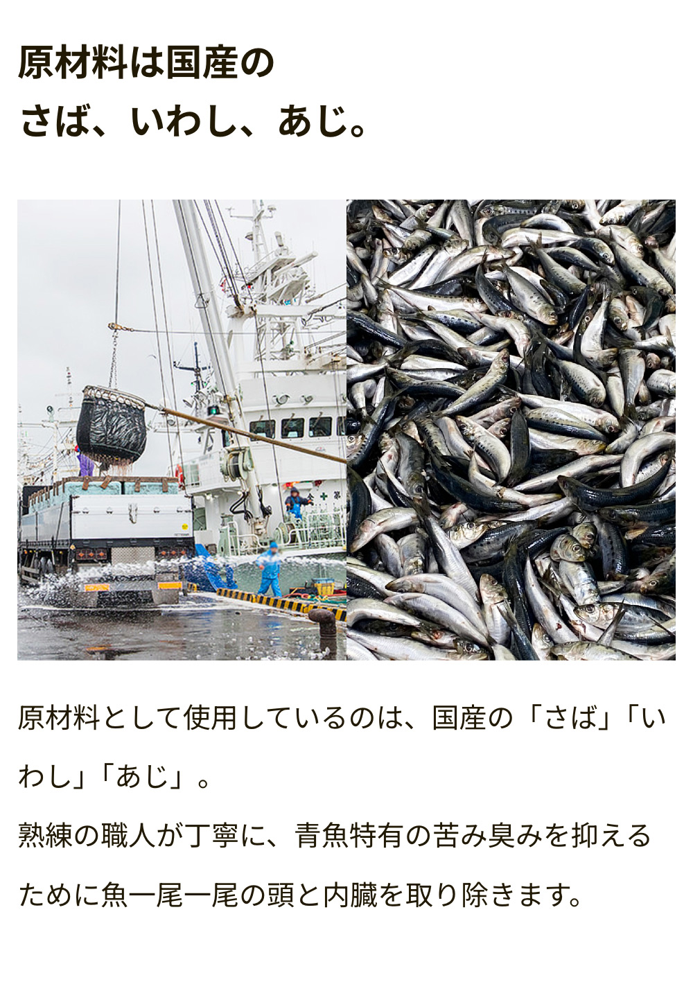 骨まで柔らかい青魚