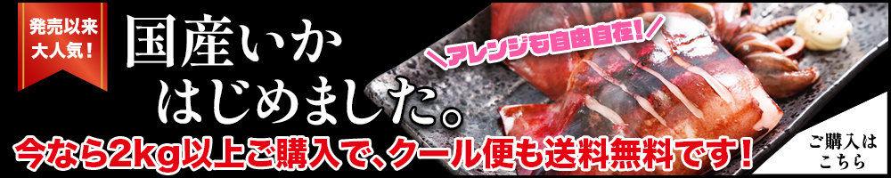 国産いかの開き干し