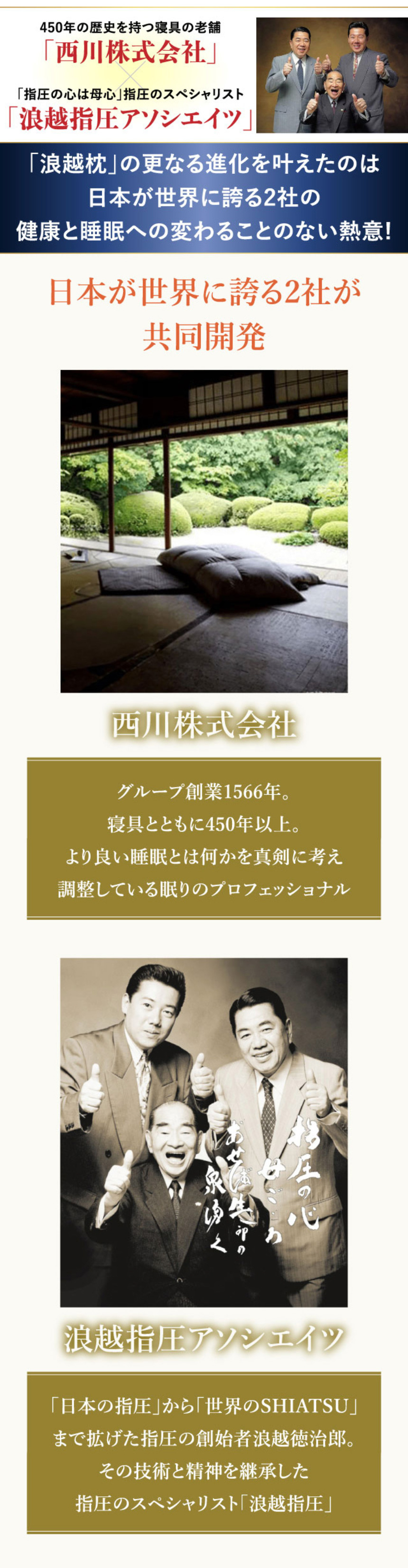 頚椎・首・頭・肩口をやさしく支えるnishikawa(西川)の浪越枕 1個