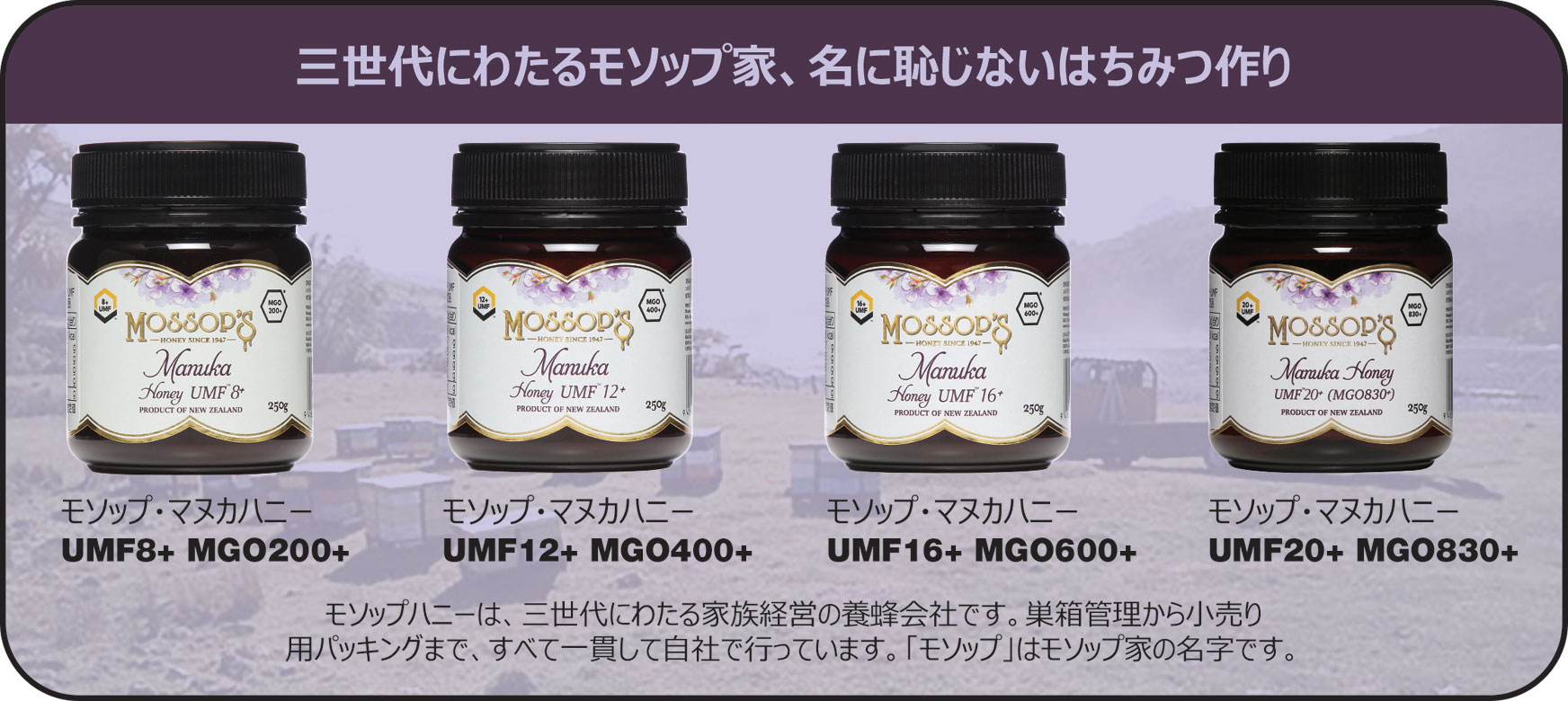 □正規品□ モソップ MGO400 UMF12+ セット 250g マヌカハニー モソップ マヌカハニー UMF12+ MGO400+ 250g UMFはちみつ協会認定品