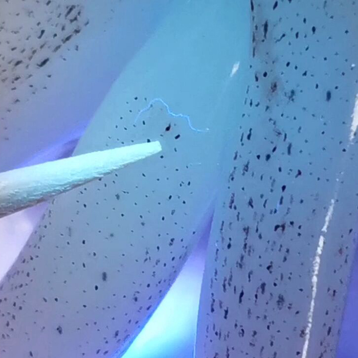 ○○