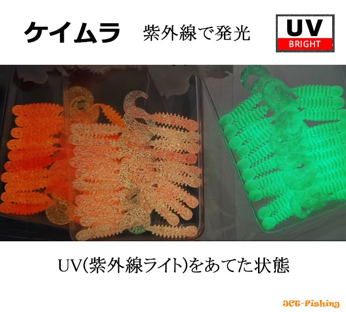 カーリーテール ワーム ケイムラ UV 5色 50本 セット 1.4インチ