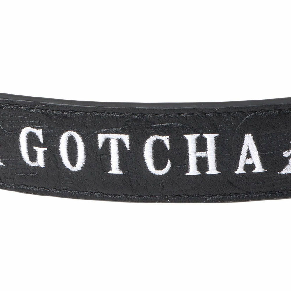 GOTCHA GOLF P6倍 ガッチャゴルフ ゴルフ BIGエンボスホールレスG