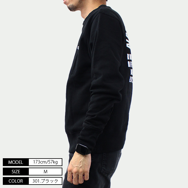 Alpha Industries（アルファ・インダストリーズ） トレーナー バック