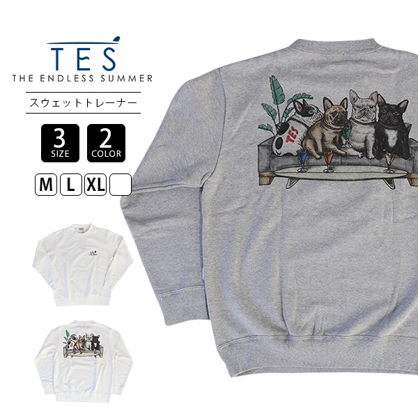 The Endless Summer TES Tシャツ テス トレーナー 4BUHI RESORT