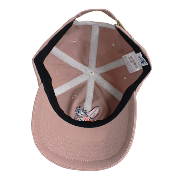 チャラン・ポ・ランタン I HATE SUMMERキャップ ネイビー The Endless Summer TES テス 半袖 帽子 キャップ BUHI CAF? 刺