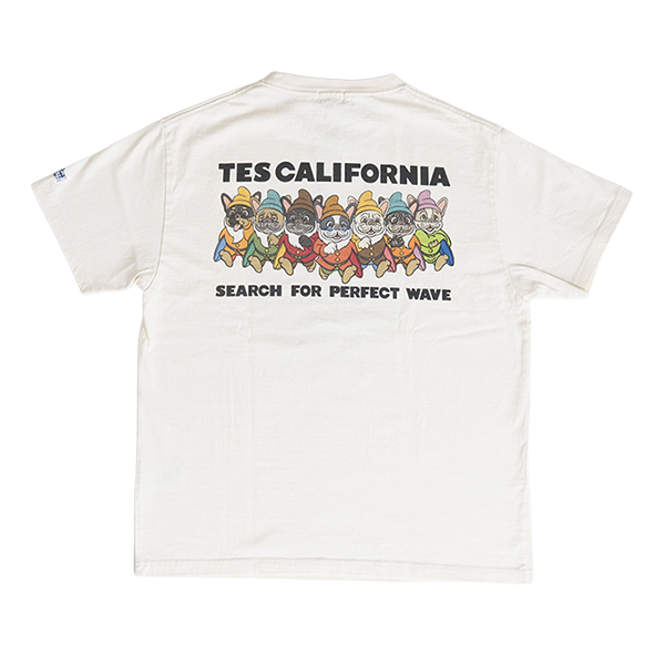 The Endless Summer（エンドレスサマー） TES テス 半袖 Tシャツ