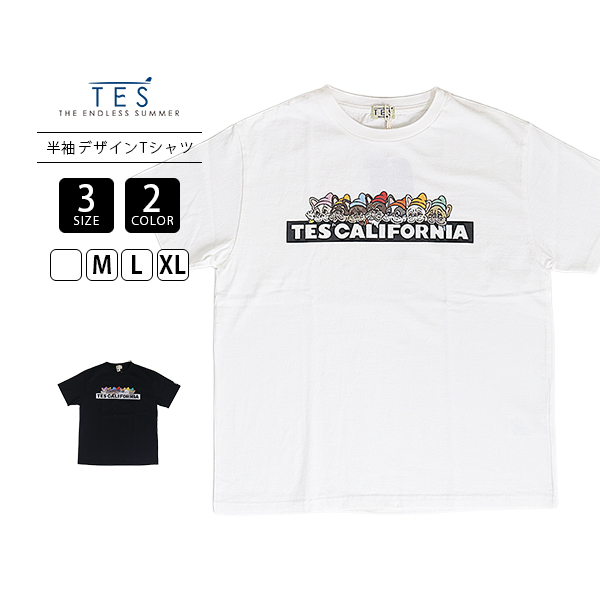 The Endless Summer（エンドレスサマー） TES テス Tシャツ 半袖