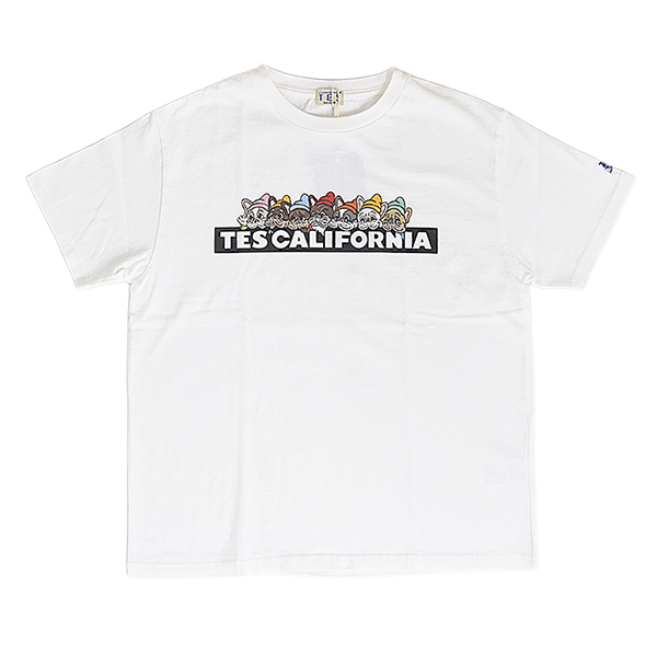 The Endless Summer（エンドレスサマー） TES テス Tシャツ 半袖