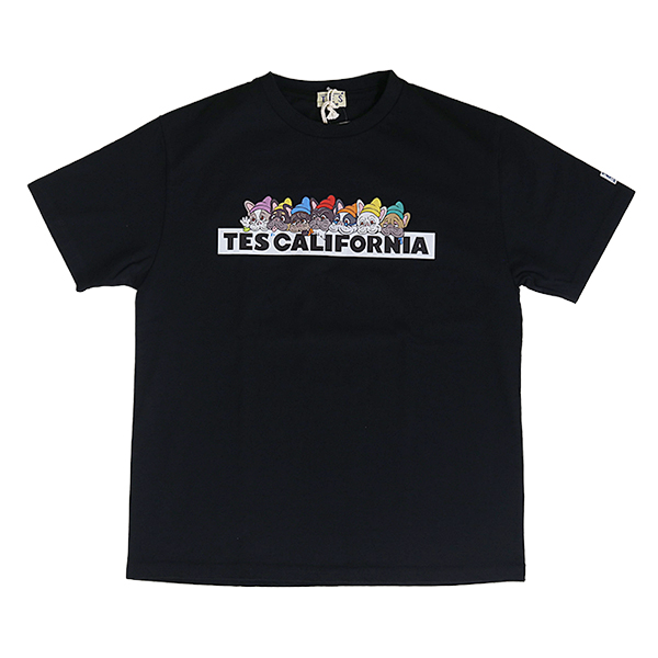 The Endless Summer（エンドレスサマー） TES テス Tシャツ 半袖