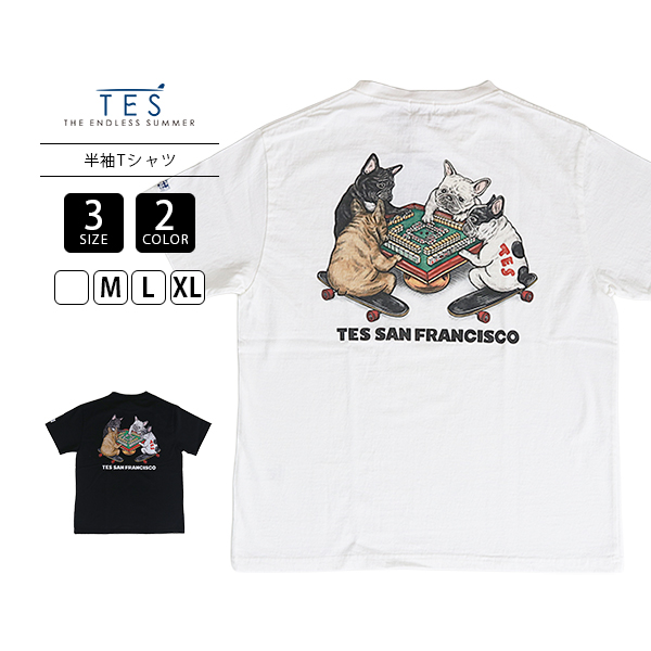 The Endless Summer（エンドレスサマー） TES テス Tシャツ 半袖