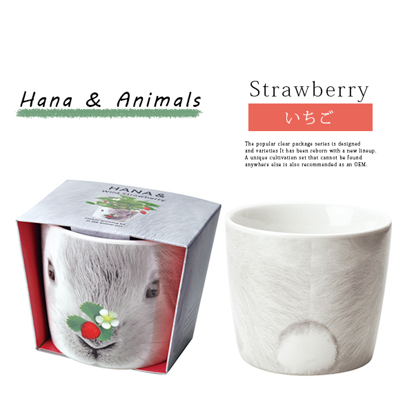 公式の 多目的栽培キット 最新モデルが入荷 Bestcollege Co Za