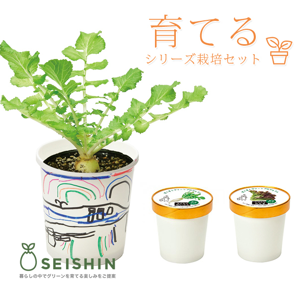 栽培キット かわいい 栽培セット 家庭菜園栽培キット 家庭菜園