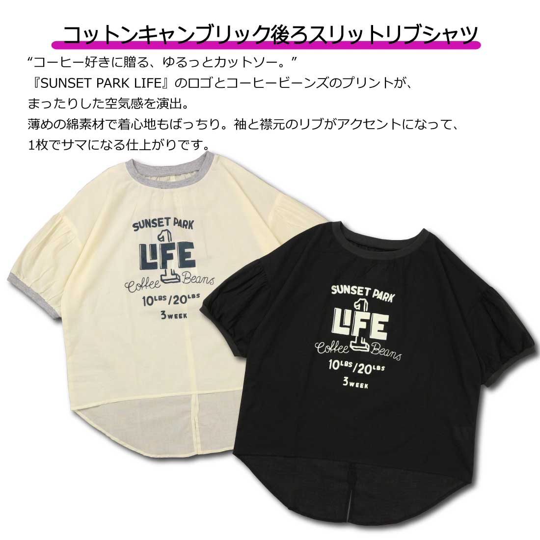 メール便発送 Lime ライム 半袖 Tシャツ 25044310 コットン キャンブリック 後ろスリット リブTシャツ カットソー レディース メール便発送 Lime ライム 半袖 Tシャツ 25044310 コットン