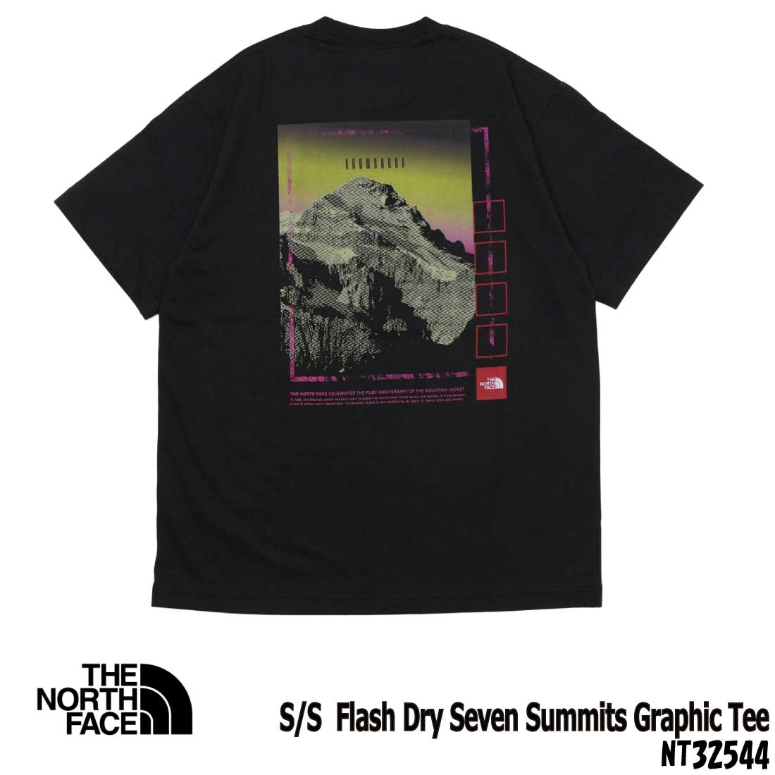 The North Face 関税・送料込 スリムTシャツ THE NORTH FACE ザ・ノース・フェイス 半袖 Tシャツ メンズ