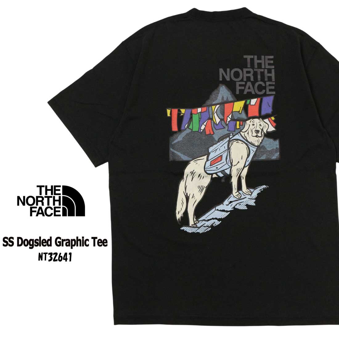 THE NORTH FACE（ザ ノースフェイス） メール便発送 半袖 Tシャツ