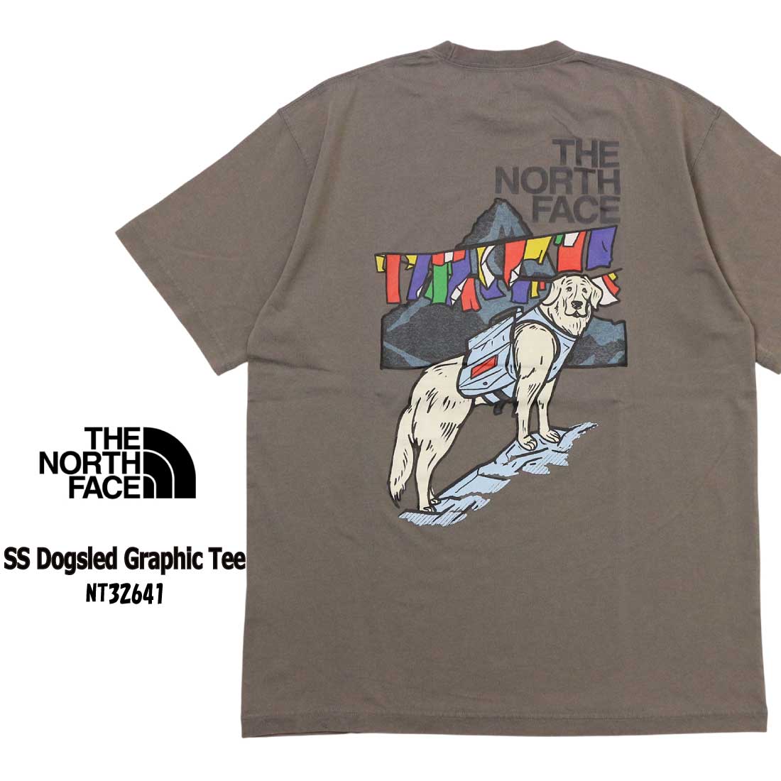 THE NORTH FACE（ザ ノースフェイス） メール便発送 半袖 Tシャツ